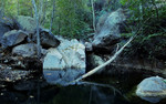 photo thumbnail #10