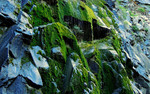 photo thumbnail #14