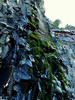 photo thumbnail #15