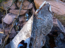 photo thumbnail #10