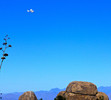 photo thumbnail #14