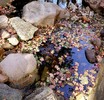 photo thumbnail #13