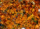 photo thumbnail #15