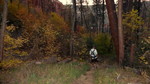 photo thumbnail #15