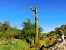 photo thumbnail #8