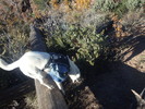 photo thumbnail #11