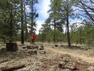 photo thumbnail #14