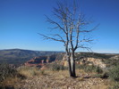 photo thumbnail #12
