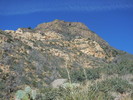 photo thumbnail #6