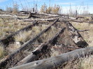 photo thumbnail #9