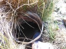 photo thumbnail #14