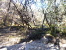 photo thumbnail #14