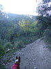 photo thumbnail #2