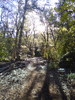 photo thumbnail #8