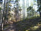 photo thumbnail #5