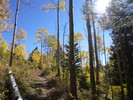 photo thumbnail #8