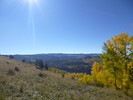 photo thumbnail #9