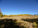photo thumbnail #11