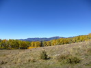 photo thumbnail #12