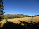 photo thumbnail #14
