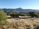 photo thumbnail #8
