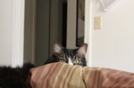 photo thumbnail #6
