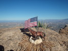 photo thumbnail #3