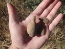 photo thumbnail #11