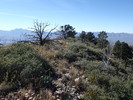 photo thumbnail #8
