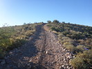 photo thumbnail #6