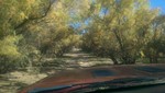 photo thumbnail #7