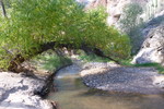 photo thumbnail #8