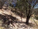 photo thumbnail #14