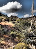 photo thumbnail #6