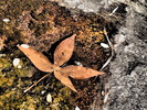 photo thumbnail #12
