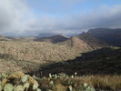 photo thumbnail #5
