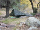 photo thumbnail #6