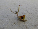 photo thumbnail #3