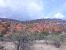 photo thumbnail #2
