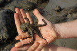 photo thumbnail #5