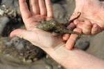 photo thumbnail #6