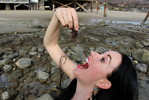 photo thumbnail #13