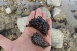 photo thumbnail #14
