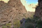 photo thumbnail #13