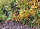 photo thumbnail #5