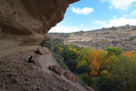 photo thumbnail #7
