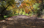photo thumbnail #10