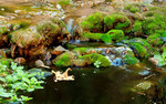 photo thumbnail #13
