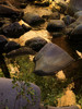 photo thumbnail #15