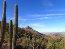 photo thumbnail #5